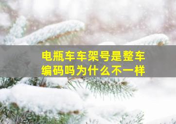 电瓶车车架号是整车编码吗为什么不一样