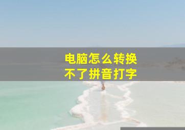 电脑怎么转换不了拼音打字