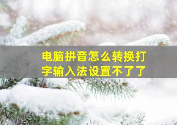 电脑拼音怎么转换打字输入法设置不了了