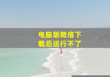 电脑版微信下载后运行不了