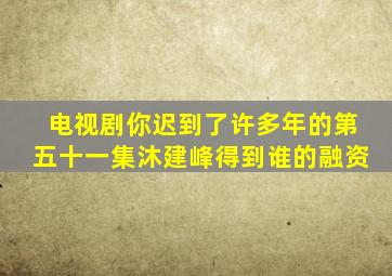 电视剧你迟到了许多年的第五十一集沐建峰得到谁的融资