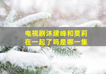 电视剧沐建峰和莫莉在一起了吗是哪一集