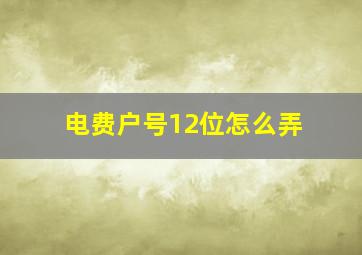 电费户号12位怎么弄