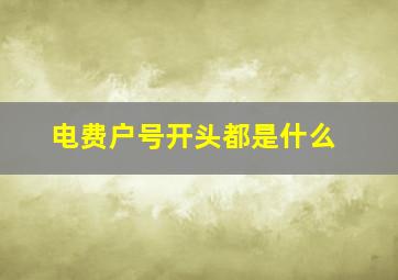 电费户号开头都是什么