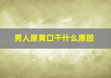 男人尿黄口干什么原因