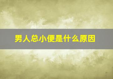 男人总小便是什么原因