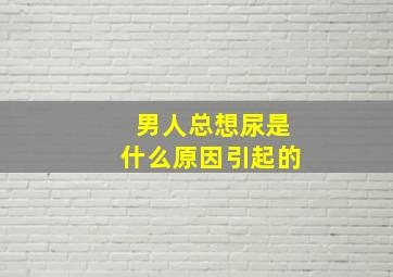 男人总想尿是什么原因引起的