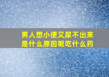 男人想小便又尿不出来是什么原因呢吃什么药