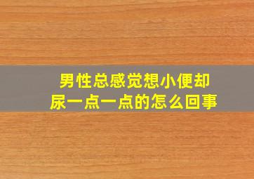 男性总感觉想小便却尿一点一点的怎么回事