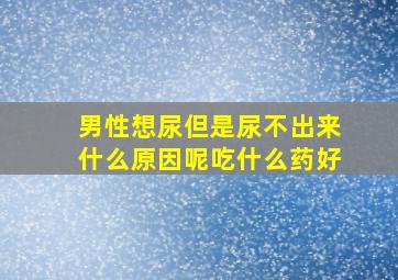 男性想尿但是尿不出来什么原因呢吃什么药好