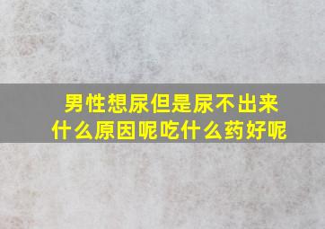 男性想尿但是尿不出来什么原因呢吃什么药好呢