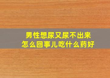 男性想尿又尿不出来怎么回事儿吃什么药好