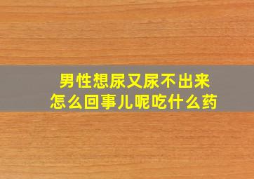 男性想尿又尿不出来怎么回事儿呢吃什么药