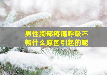 男性胸部疼痛呼吸不畅什么原因引起的呢