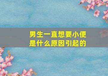 男生一直想要小便是什么原因引起的