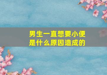 男生一直想要小便是什么原因造成的