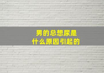 男的总想尿是什么原因引起的