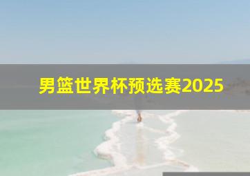 男篮世界杯预选赛2025