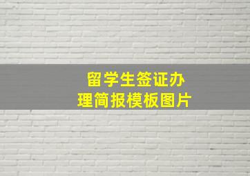 留学生签证办理简报模板图片