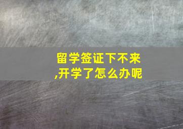 留学签证下不来,开学了怎么办呢