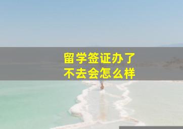 留学签证办了不去会怎么样