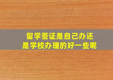 留学签证是自己办还是学校办理的好一些呢