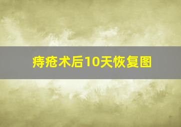 痔疮术后10天恢复图