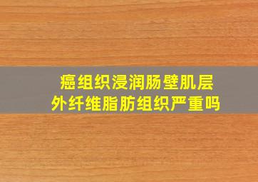 癌组织浸润肠壁肌层外纤维脂肪组织严重吗