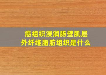 癌组织浸润肠壁肌层外纤维脂肪组织是什么