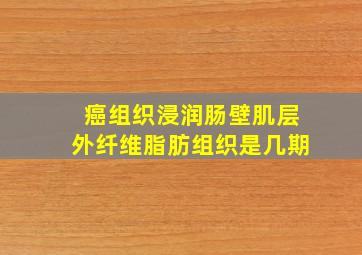 癌组织浸润肠壁肌层外纤维脂肪组织是几期