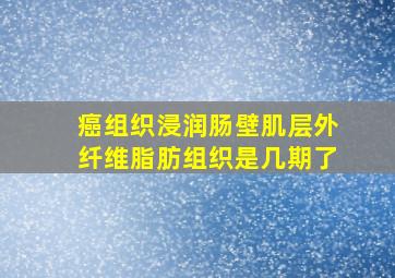 癌组织浸润肠壁肌层外纤维脂肪组织是几期了