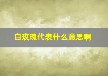 白玫瑰代表什么意思啊