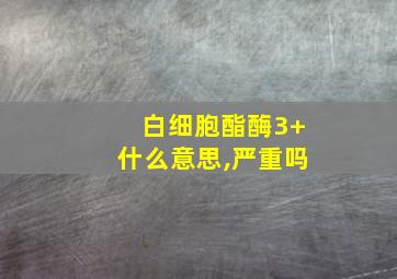 白细胞酯酶3+什么意思,严重吗