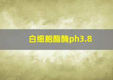 白细胞酯酶ph3.8