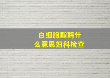 白细胞酯酶什么意思妇科检查