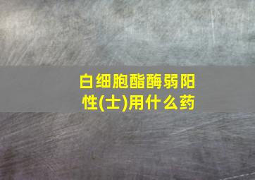 白细胞酯酶弱阳性(士)用什么药