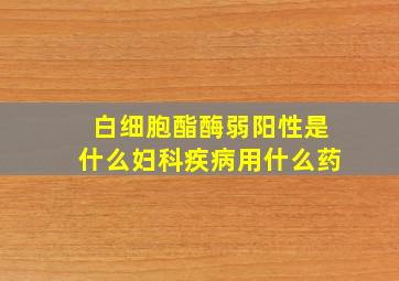 白细胞酯酶弱阳性是什么妇科疾病用什么药