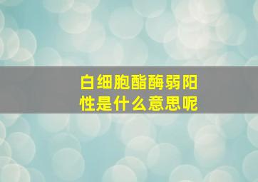 白细胞酯酶弱阳性是什么意思呢