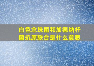 白色念珠菌和加德纳杆菌抗原联合是什么意思