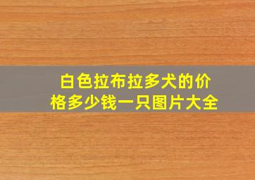 白色拉布拉多犬的价格多少钱一只图片大全