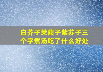 白芥子莱菔子紫苏子三个字煮汤吃了什么好处