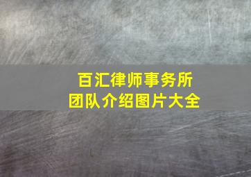 百汇律师事务所团队介绍图片大全