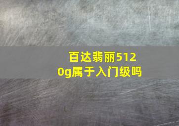 百达翡丽5120g属于入门级吗