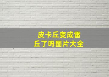 皮卡丘变成雷丘了吗图片大全