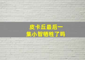 皮卡丘最后一集小智牺牲了吗