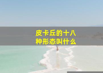 皮卡丘的十八种形态叫什么