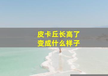 皮卡丘长高了变成什么样子