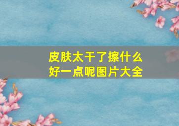 皮肤太干了擦什么好一点呢图片大全