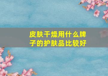 皮肤干燥用什么牌子的护肤品比较好