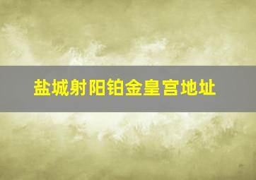 盐城射阳铂金皇宫地址